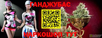 индика Конаково